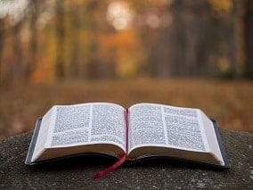 Biblia abierta